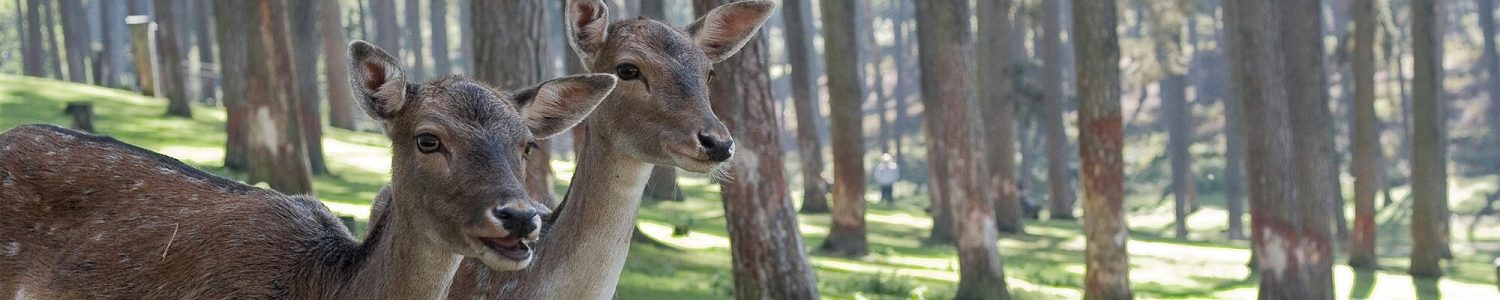 andreas-XN_CrZWxGDM-unsplash