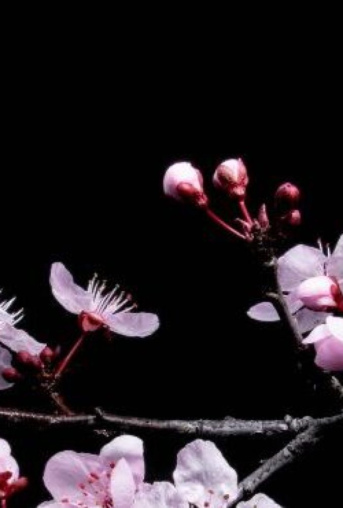 df2a539e-c2f0-101f-984f-b58796303a30