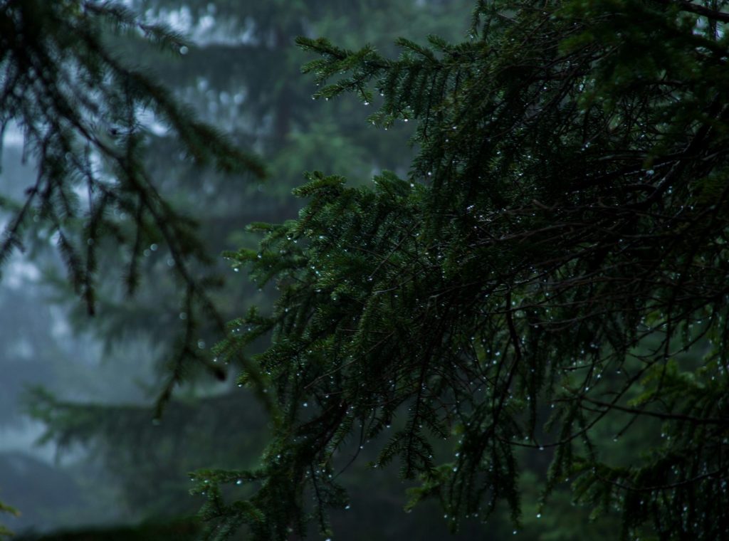 jonathan-klok-NeRzxya_zyI-unsplash